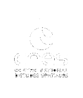 CNES logo